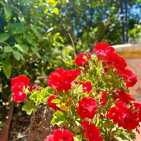 Villaferrel - Beach&waves Ferrel (Leiria)